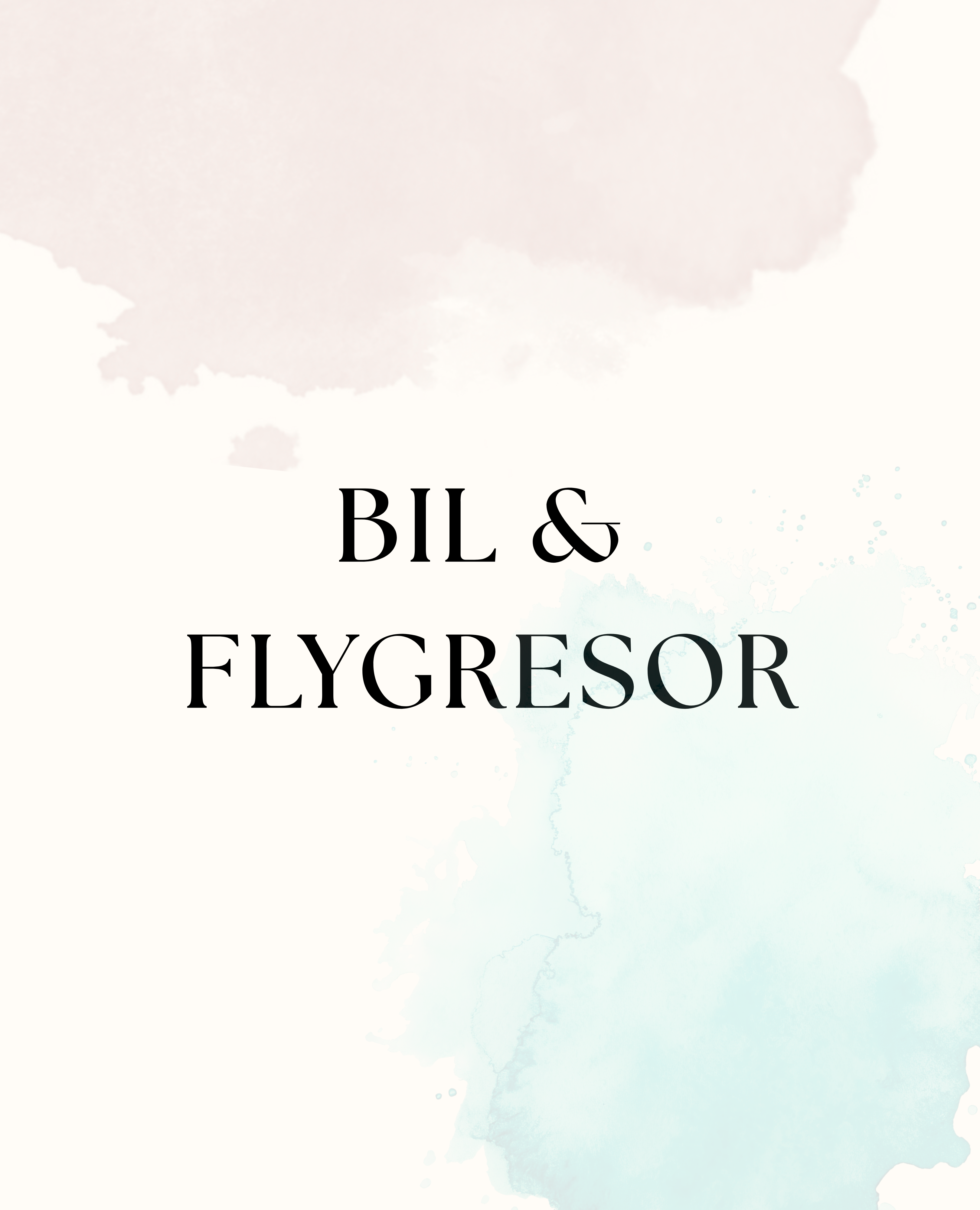Bil- & flygresor
